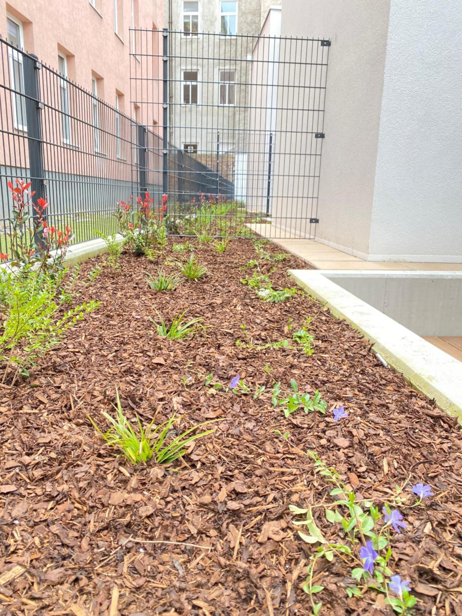 Steiner Residences Vienna Rembrandt חדר תמונה
